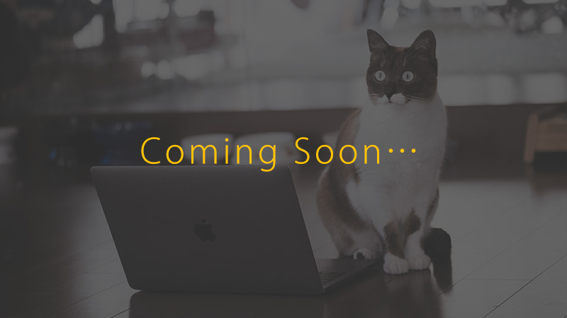 HTML5 Bootstrap Template by colorlib.com